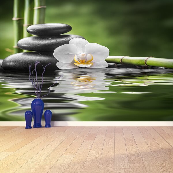 Fototapet Orchid Zen