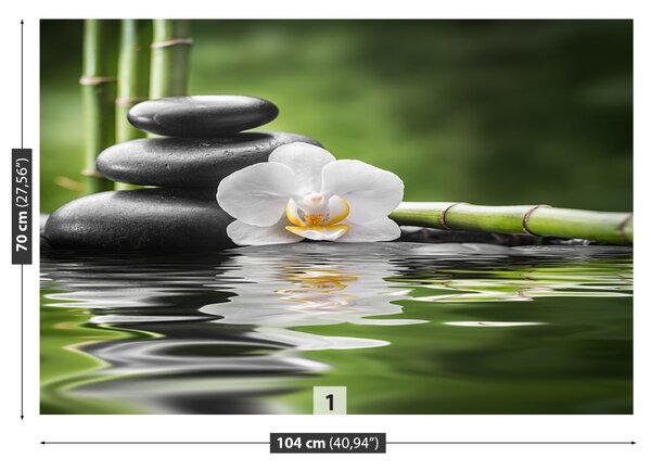 Fototapet Orchid Zen