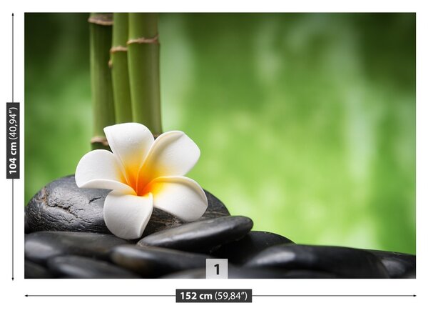 Fototapet Spa flori