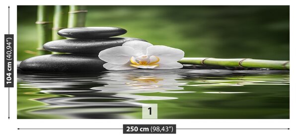 Fototapet Orchid Zen