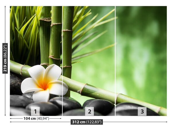 Fototapet frangipani Bamboo