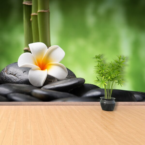 Fototapet Spa flori