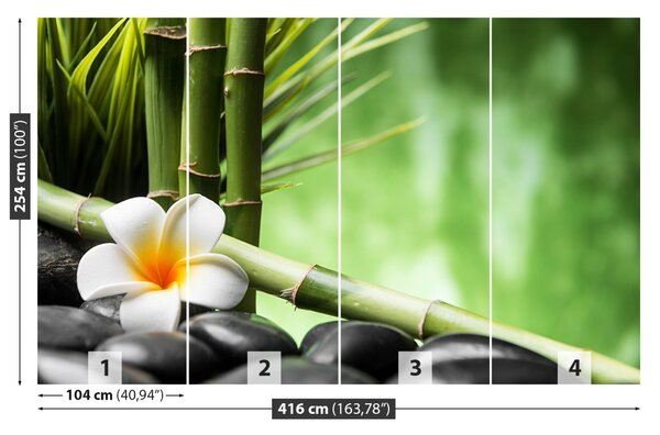 Fototapet frangipani Bamboo
