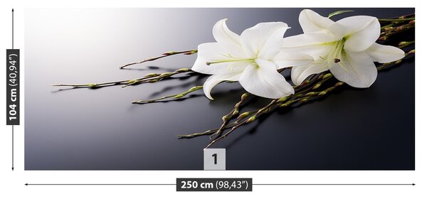 Fototapet Crin alb