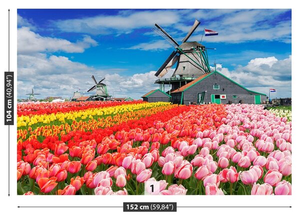 Fototapet Olanda Morile de vânt