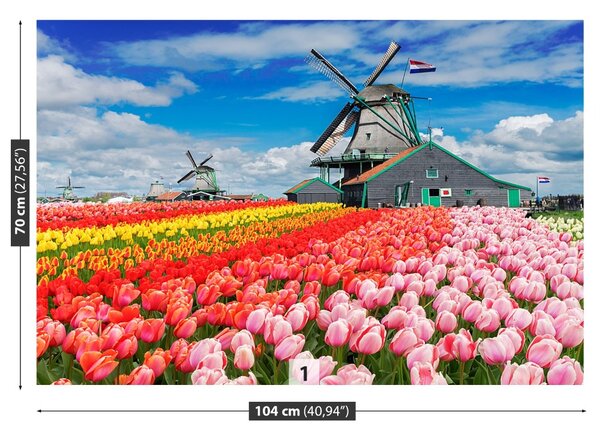 Fototapet Olanda Morile de vânt