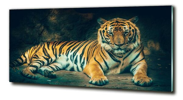 Tablou sticlă Tiger Cave