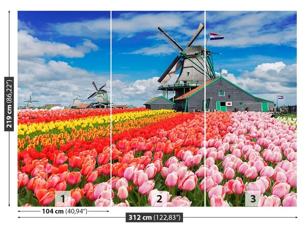 Fototapet Olanda Morile de vânt