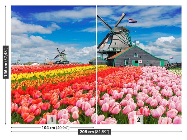 Fototapet Olanda Morile de vânt