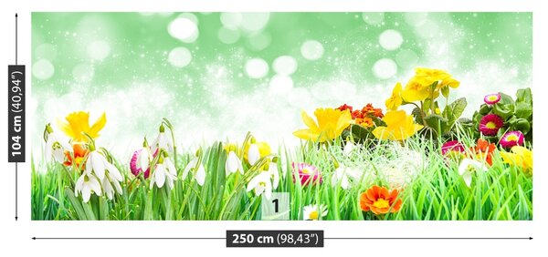 Fototapet Paste Flori