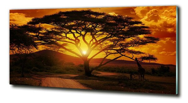 Tablou sticlă Africa de Vest