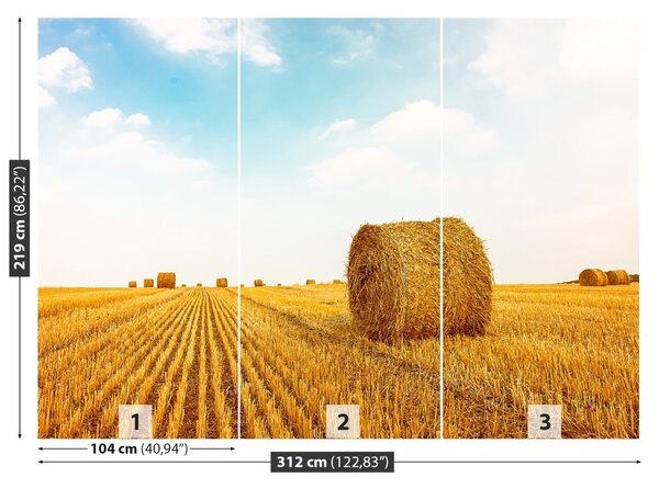 Fototapet paie Bales