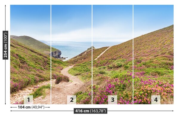 Fototapet Atlanticul Cornwall