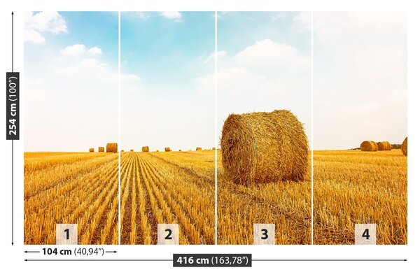 Fototapet paie Bales