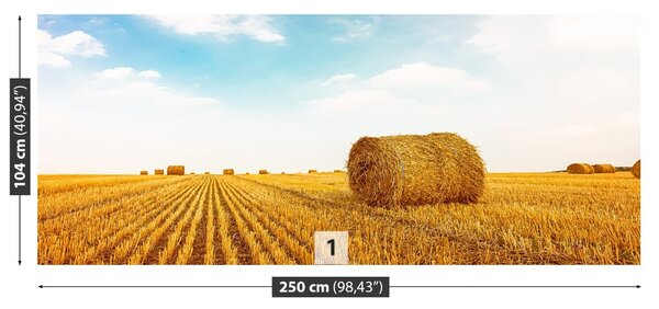 Fototapet paie Bales