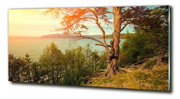 Tablou din Sticlă lac Scandinavia