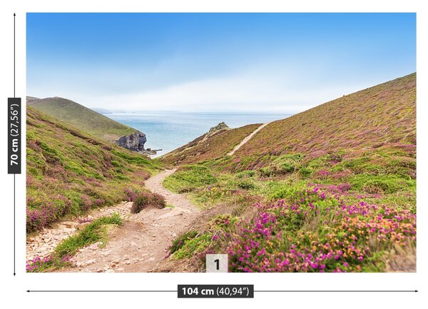 Fototapet Atlanticul Cornwall