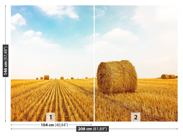 Fototapet paie Bales