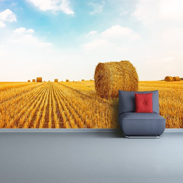Fototapet paie Bales