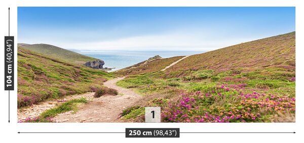 Fototapet Atlanticul Cornwall