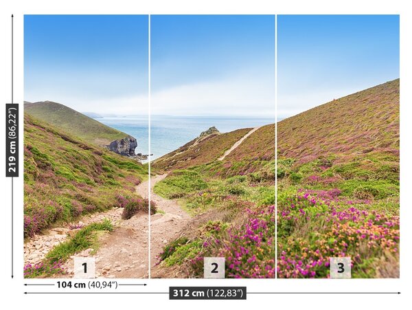 Fototapet Atlanticul Cornwall