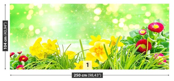 Fototapet Paste Flori
