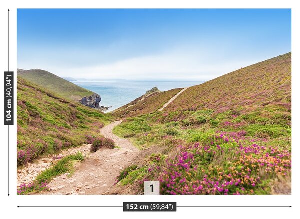 Fototapet Atlanticul Cornwall