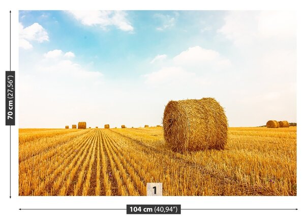 Fototapet paie Bales