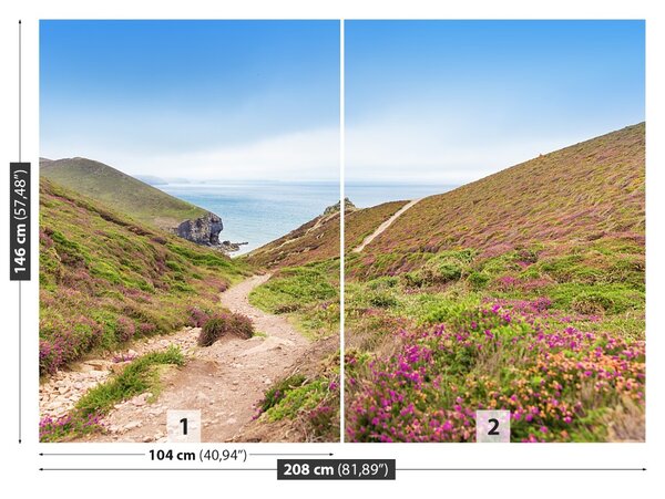 Fototapet Atlanticul Cornwall