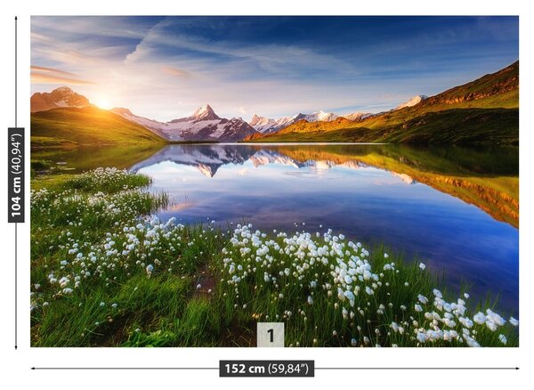 Fototapet Schreckhorn Munte