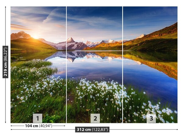 Fototapet Schreckhorn Munte