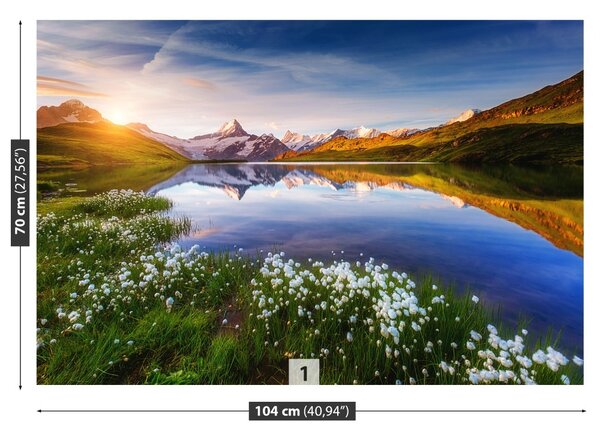 Fototapet Schreckhorn Munte