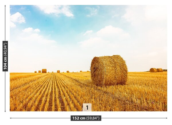 Fototapet paie Bales