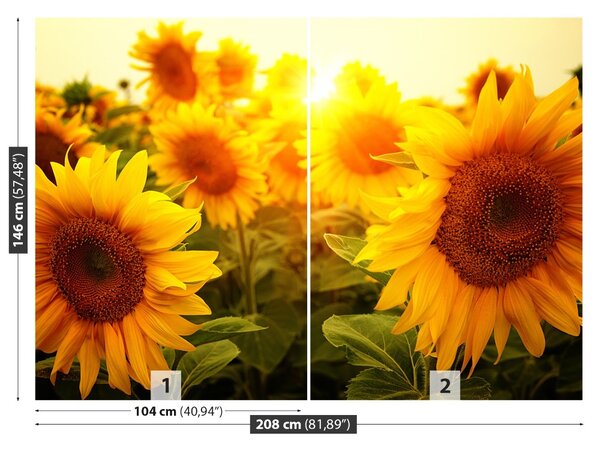 Fototapet Floarea soarelui