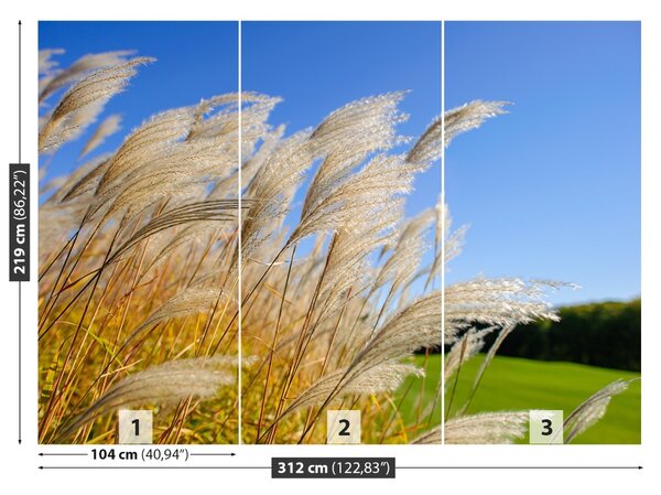 Fototapet Albastru Reed