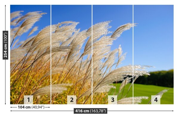Fototapet Albastru Reed