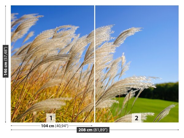 Fototapet Albastru Reed
