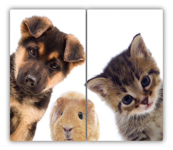 Tocator din sticla Animale de companie