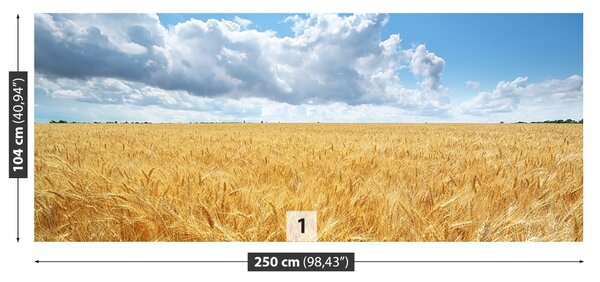 Fototapet Câmp de grâu
