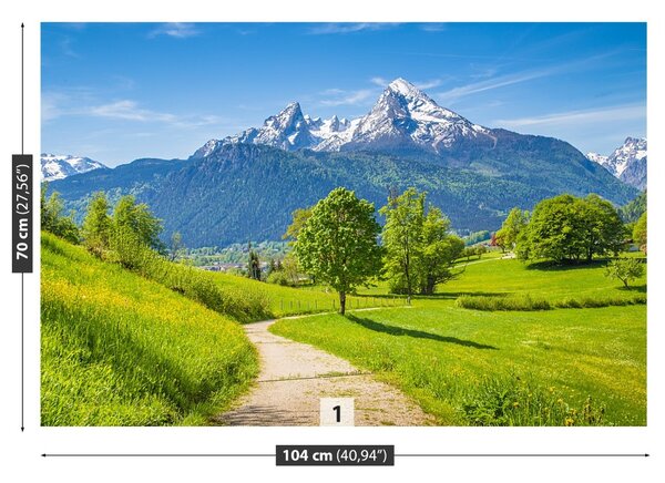 Fototapet Alpi de vară