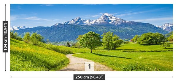 Fototapet Alpi de vară