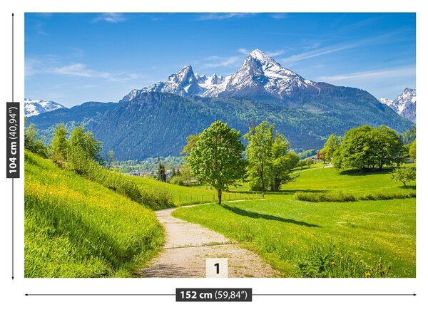 Fototapet Alpi de vară