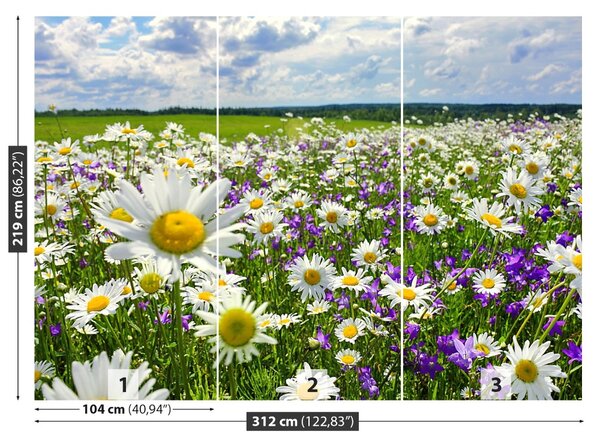 Fototapet Meadows și flori
