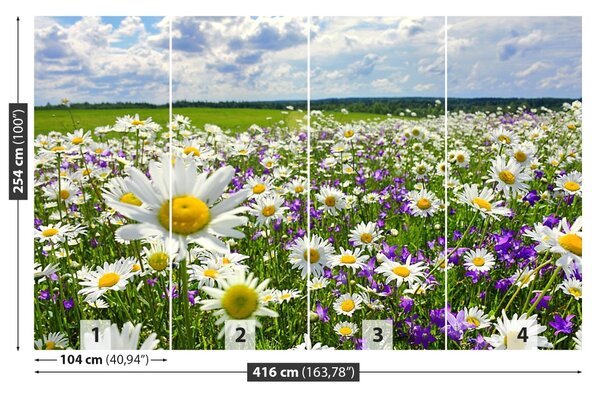 Fototapet Meadows și flori