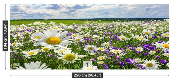 Fototapet Meadows și flori