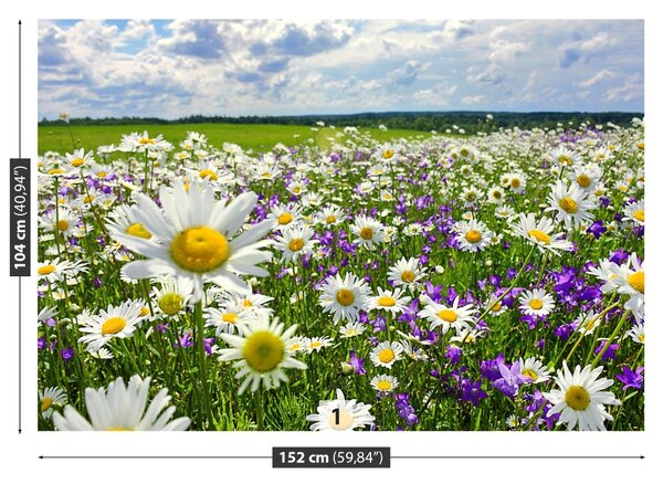 Fototapet Meadows și flori