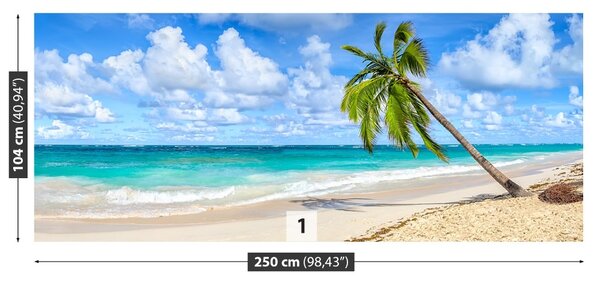 Fototapet Palmier de nuca de cocos