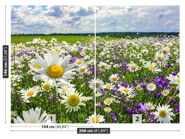 Fototapet Meadows și flori