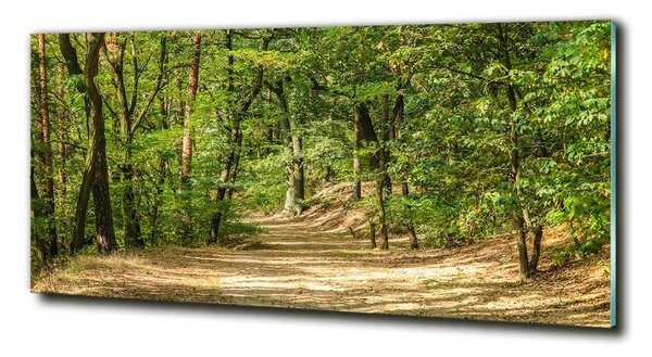 Tablou Printat Pe Sticlă drum forestier