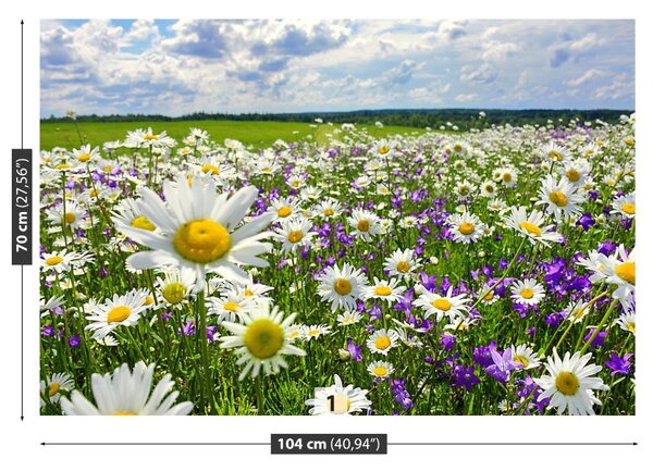 Fototapet Meadows și flori